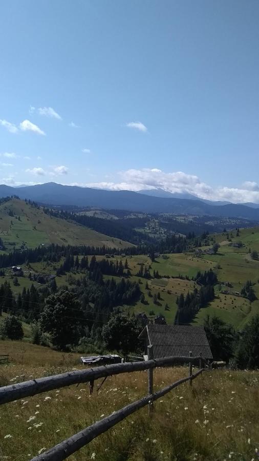 Садиба Срібні Карпати Jablunytsja Exteriör bild
